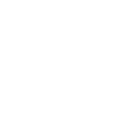 Vector